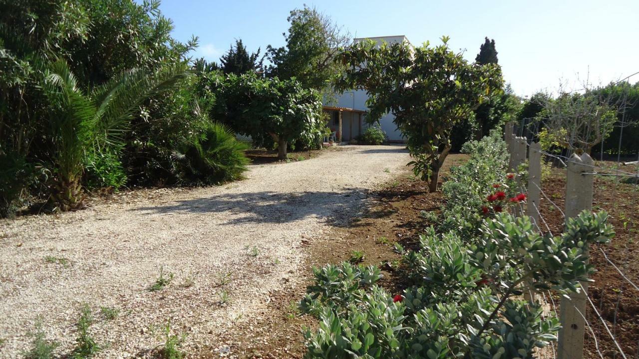 Villa Siciliana Con Piscina "Dal Picciotto" 马尔萨拉 外观 照片